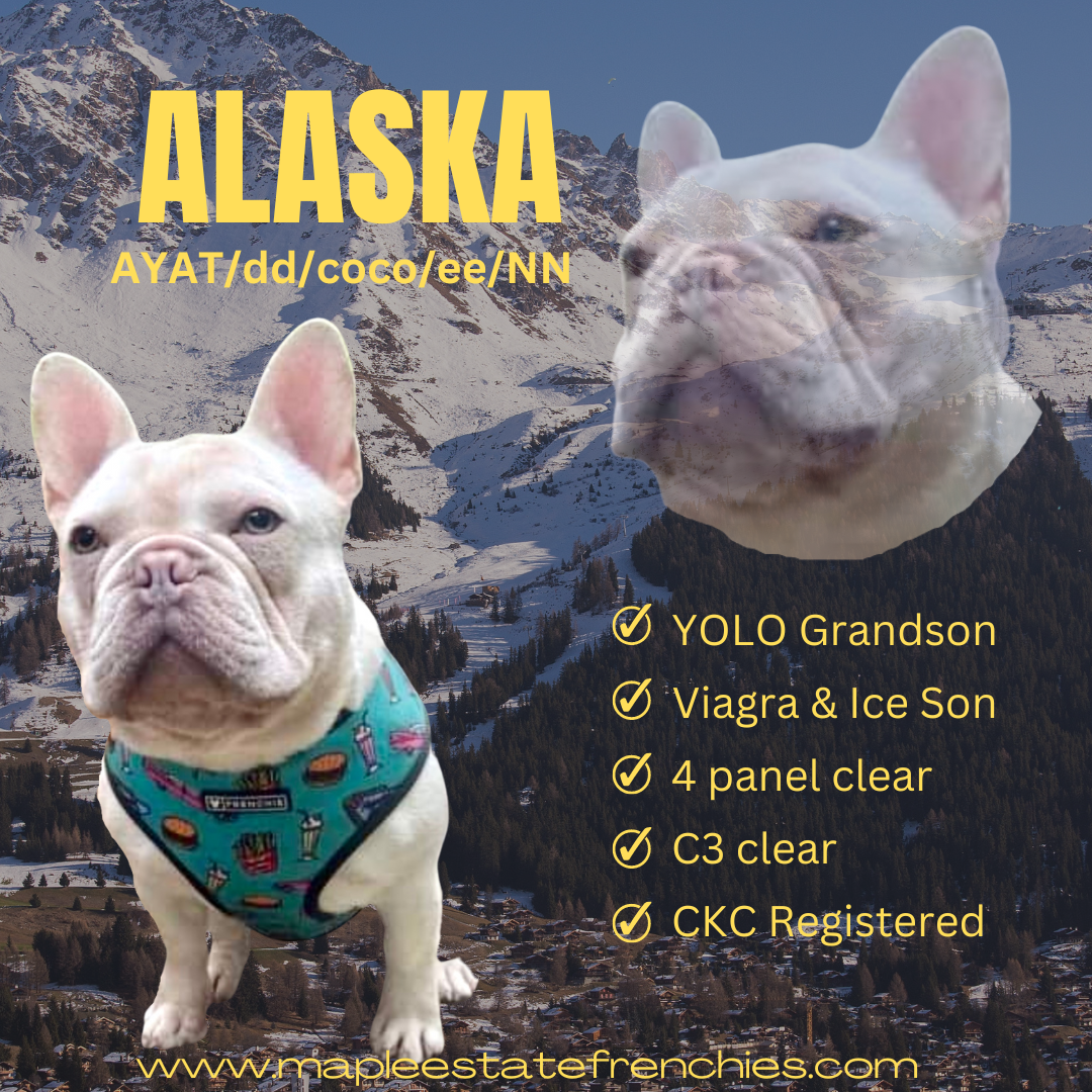 Alaska